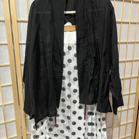 Chinese hanfu set of feijixiu and polka dot mamianqun - Picture 5 of 7